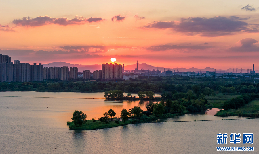 安徽盛会,尊敬的领导、嘉宾与朋友们共聚一堂
