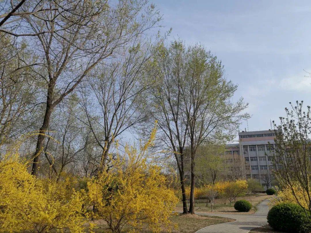 廊坊,崛起中的现代化都市风采