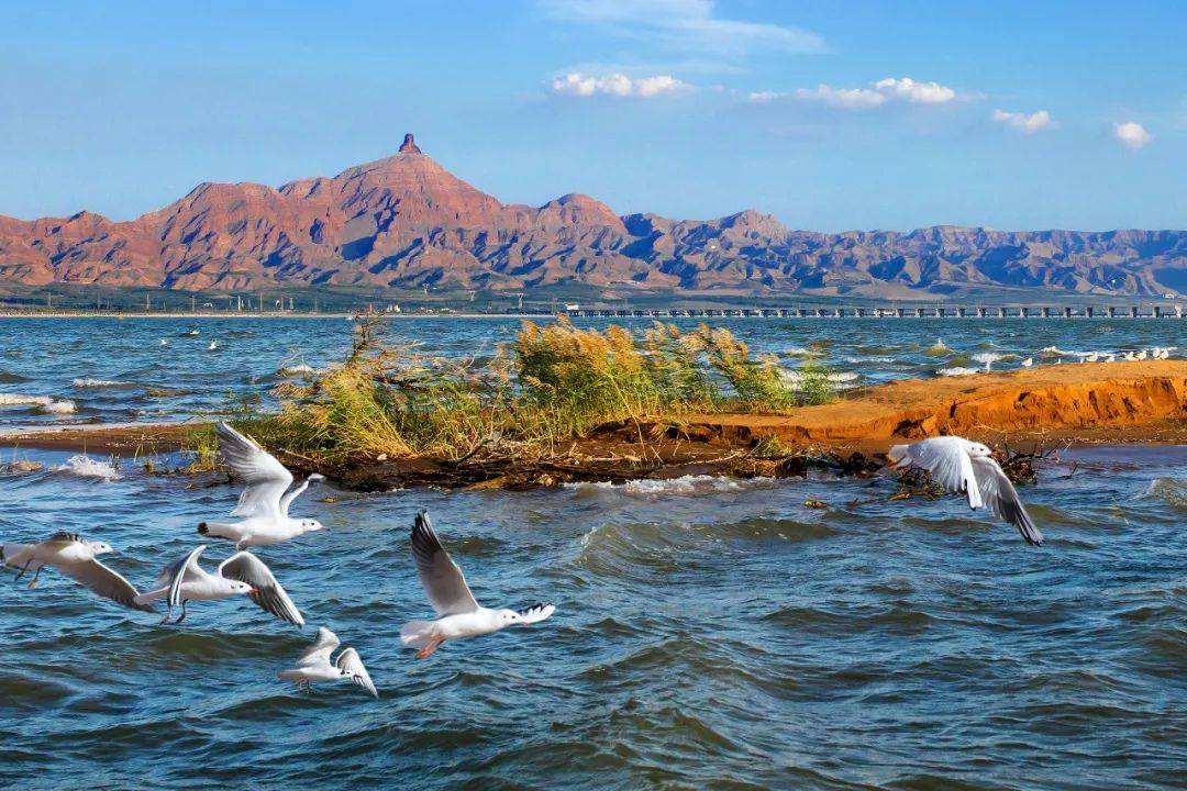 乌海,阳光下的温情时光与日常趣事分享